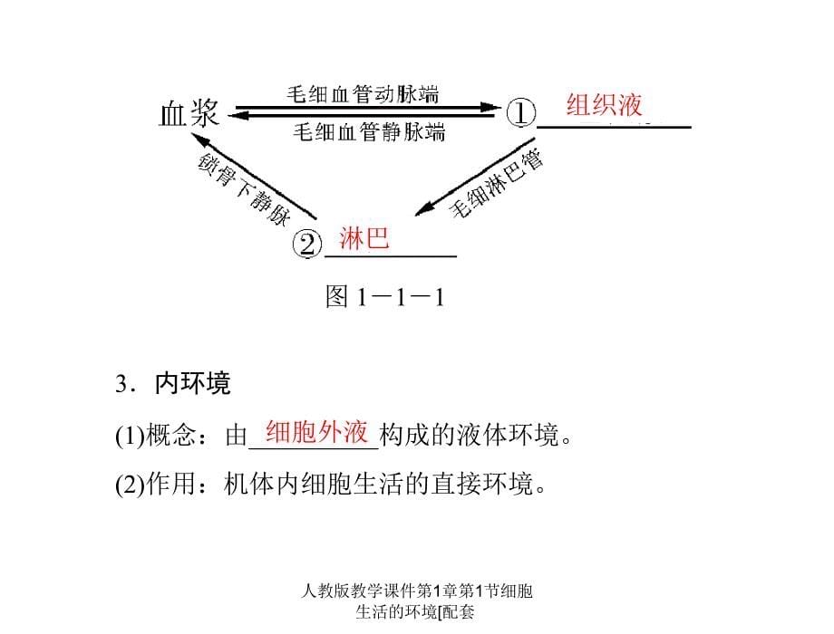 人教版教学课件第1章第1节细胞生活的环境配套课件_第5页