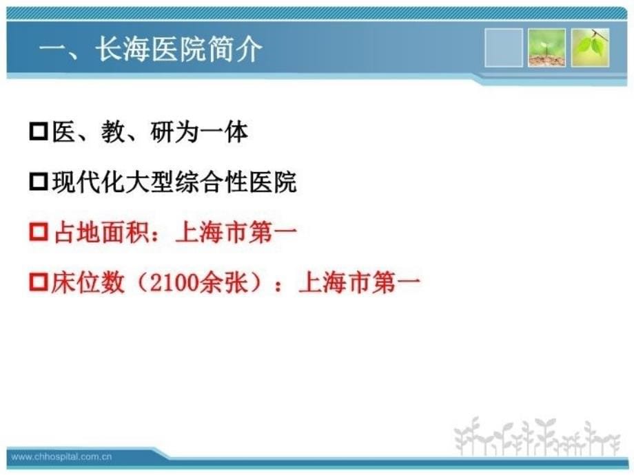 医院综合集成平台建设的几点体会-备课讲稿_第5页