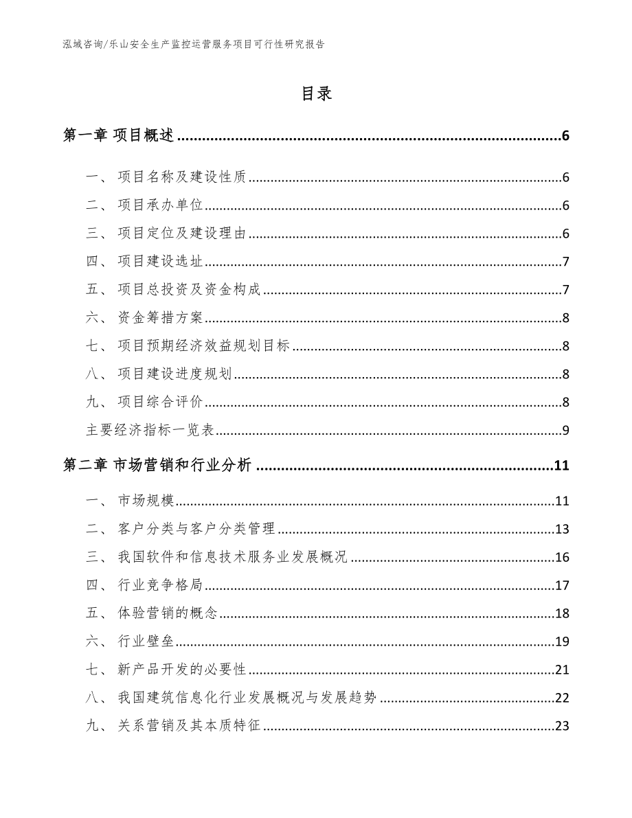 乐山安全生产监控运营服务项目可行性研究报告范文_第1页