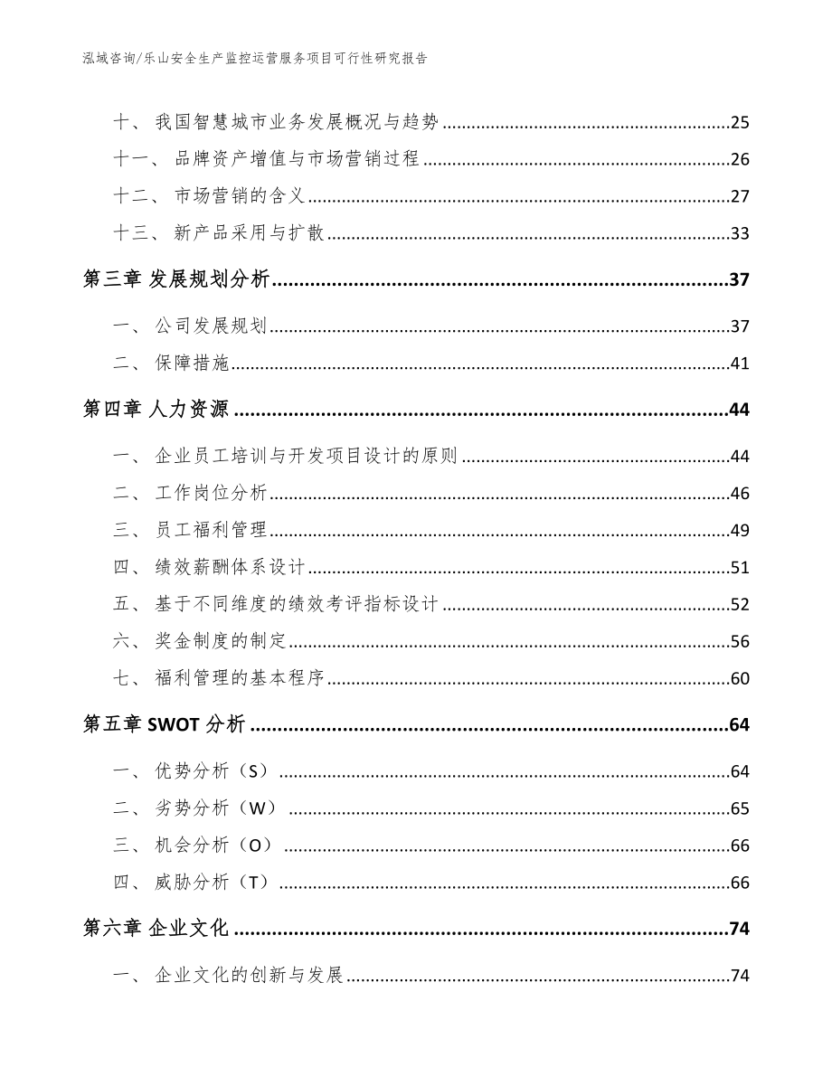 乐山安全生产监控运营服务项目可行性研究报告范文_第2页