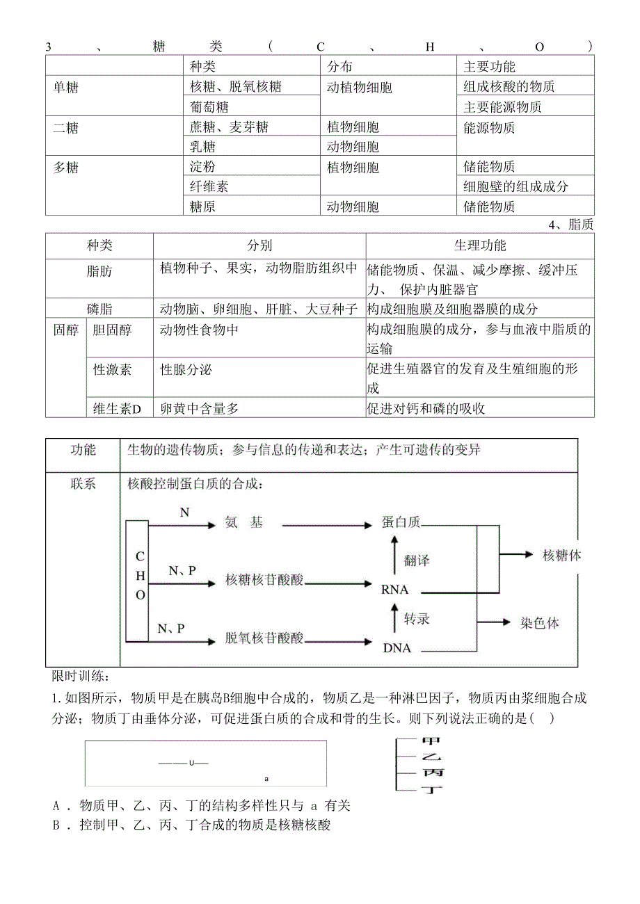 细胞中的大分子物质蛋白质、核酸、糖类、脂质_第2页