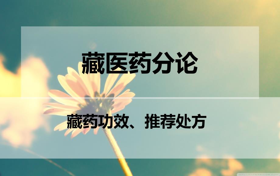 医学PPT课件藏医药分论_第1页