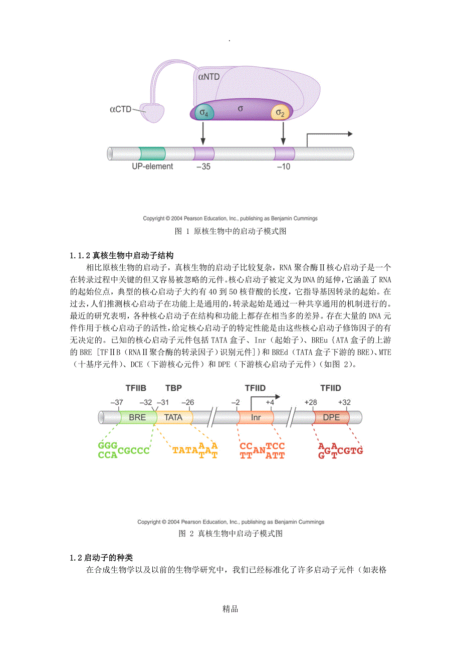 代谢工程与合成生物学作业生物元件_第2页