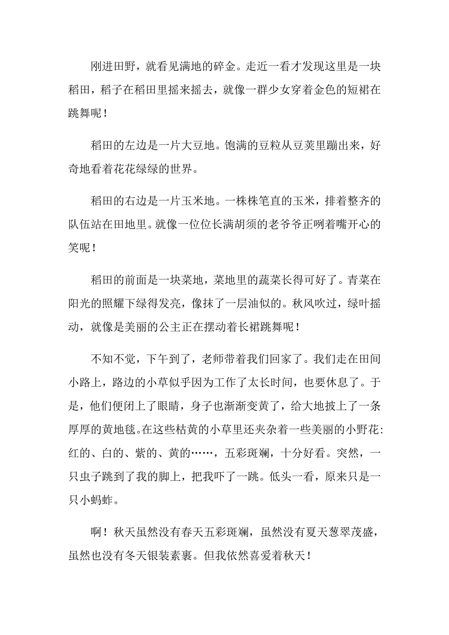 2022年有关天的田野小学生作文九篇_第4页