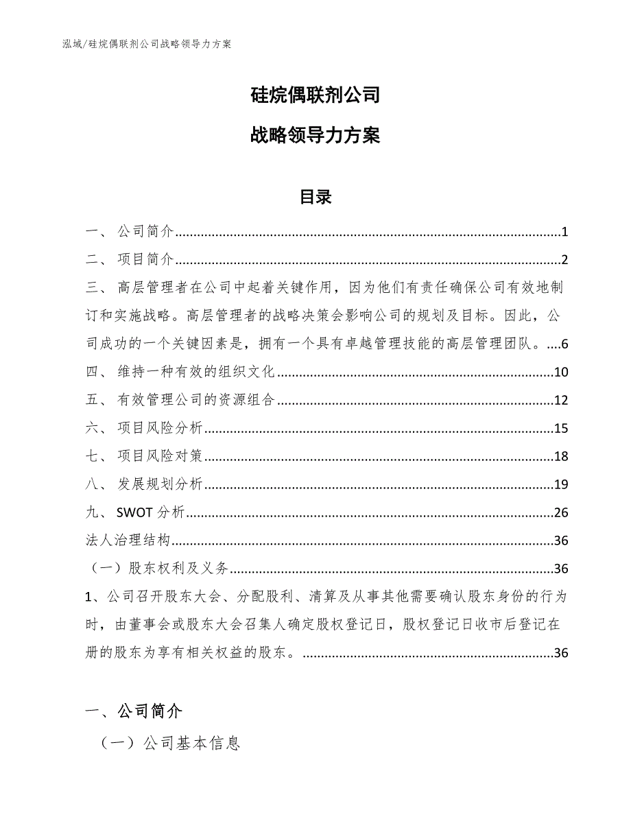 硅烷偶联剂公司战略领导力方案（参考）_第1页