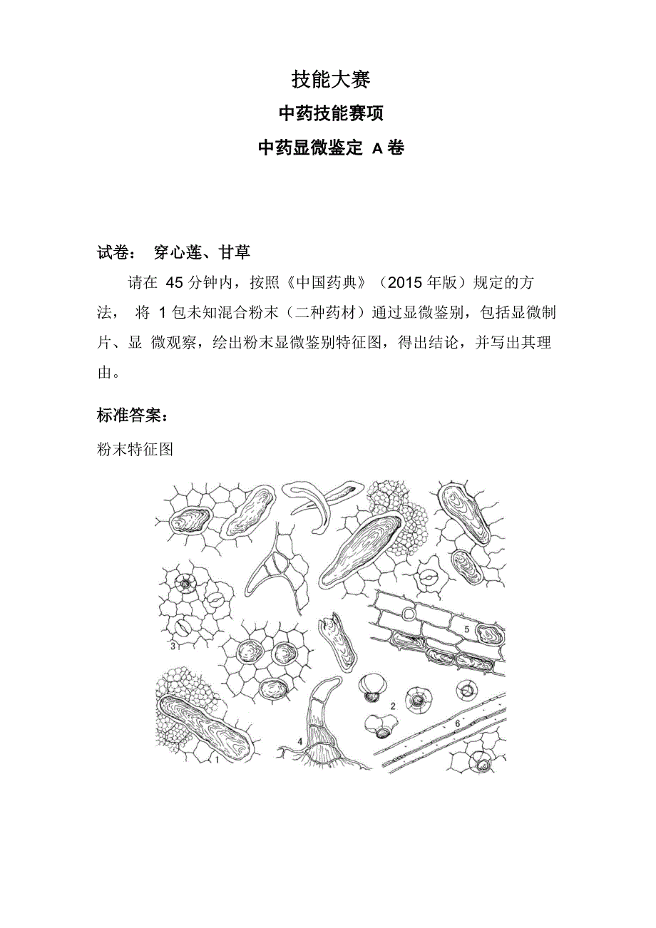 中药显微鉴定B卷_第1页