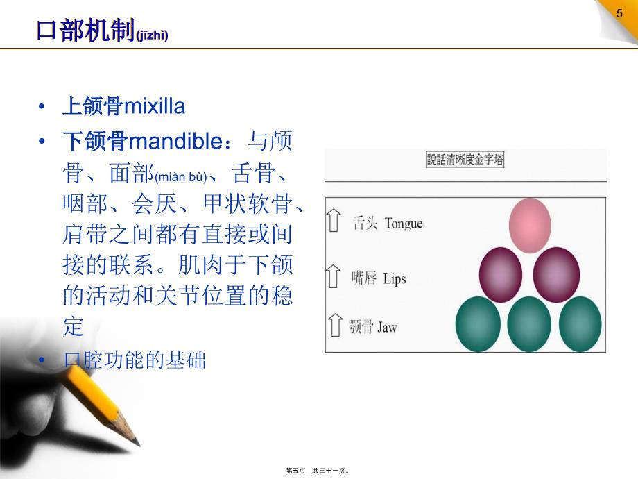 新生儿口腔与呼吸的发育课件_第5页