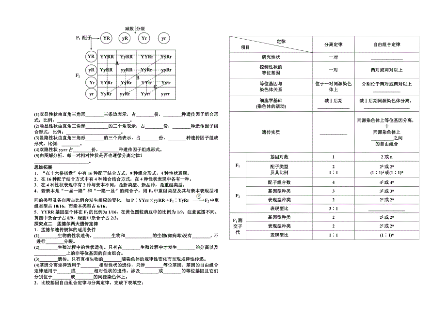 学案孟德尔的豌豆杂交实验（二）_第2页