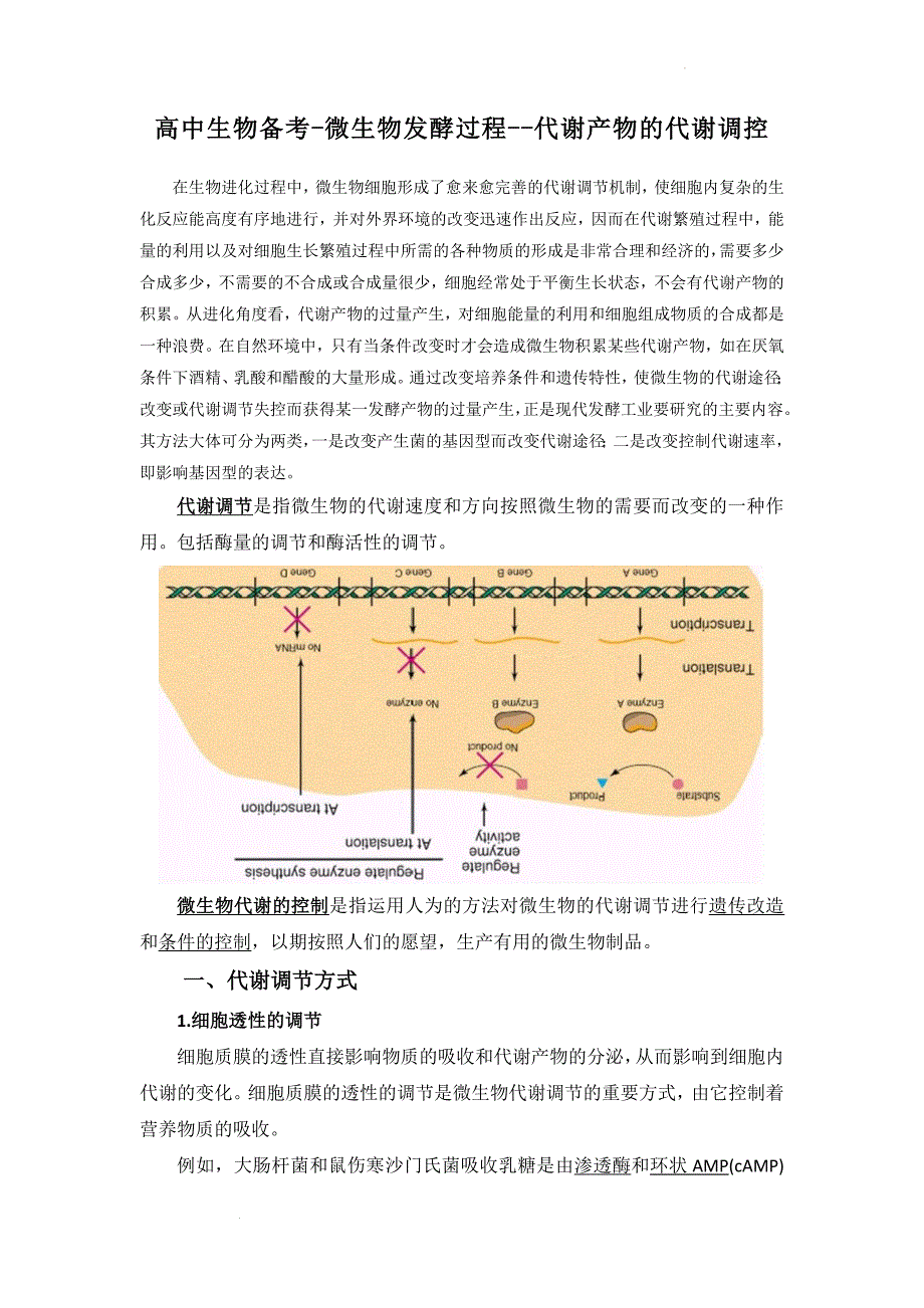 高三生物一轮复习微生物发酵过程--代谢产物的代谢调控.doc_第1页