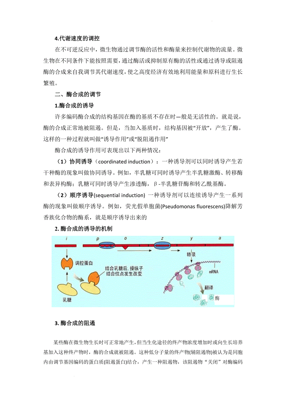 高三生物一轮复习微生物发酵过程--代谢产物的代谢调控.doc_第3页