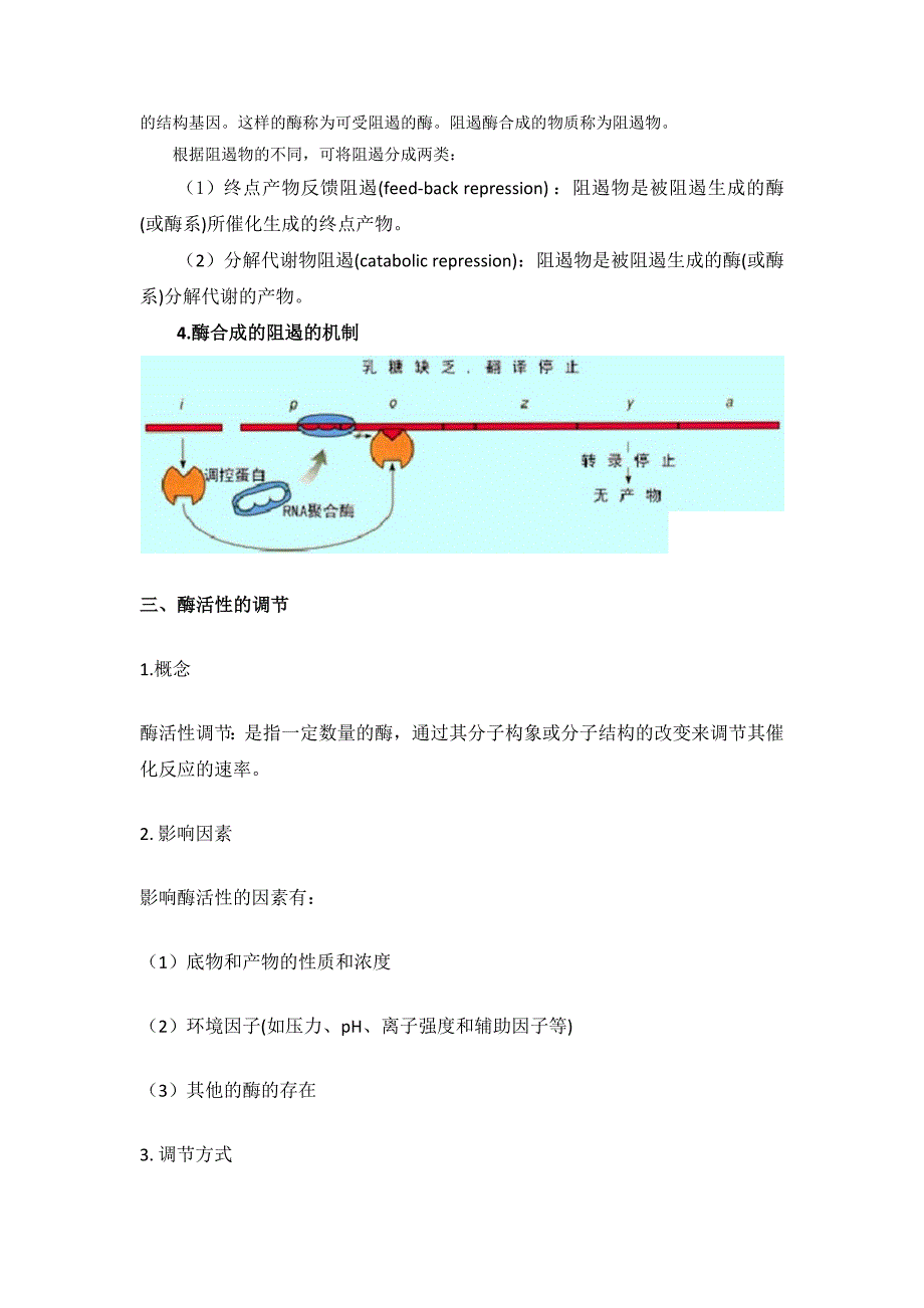 高三生物一轮复习微生物发酵过程--代谢产物的代谢调控.doc_第4页