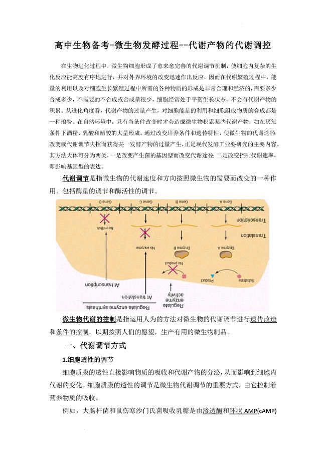 高三生物一轮复习微生物发酵过程--代谢产物的代谢调控.doc