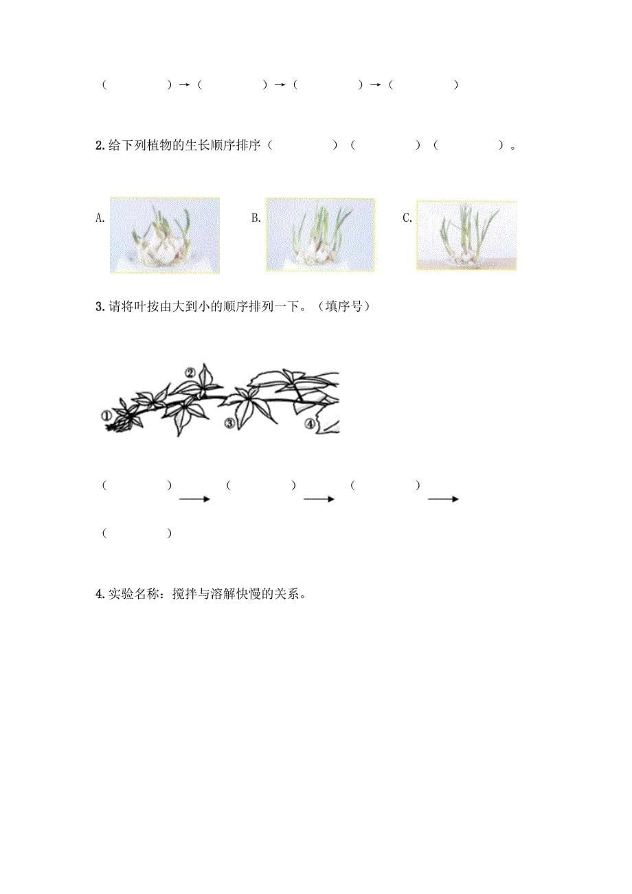 教科版科学一年级上册第一单元《植物》知识点测试卷含完整答案(各地真题).docx_第5页