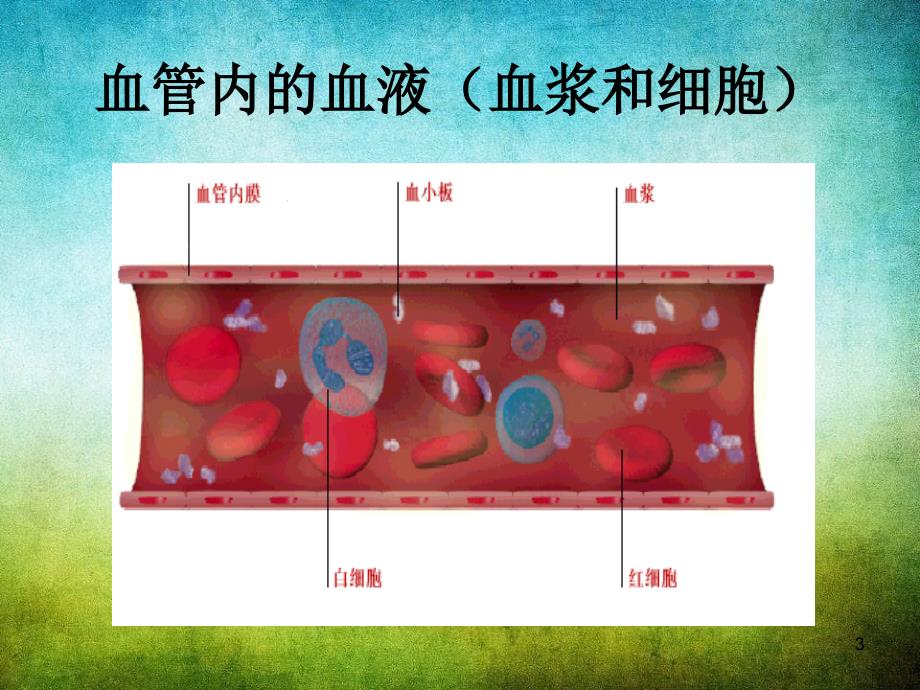 医学生物化学血液生化_第3页