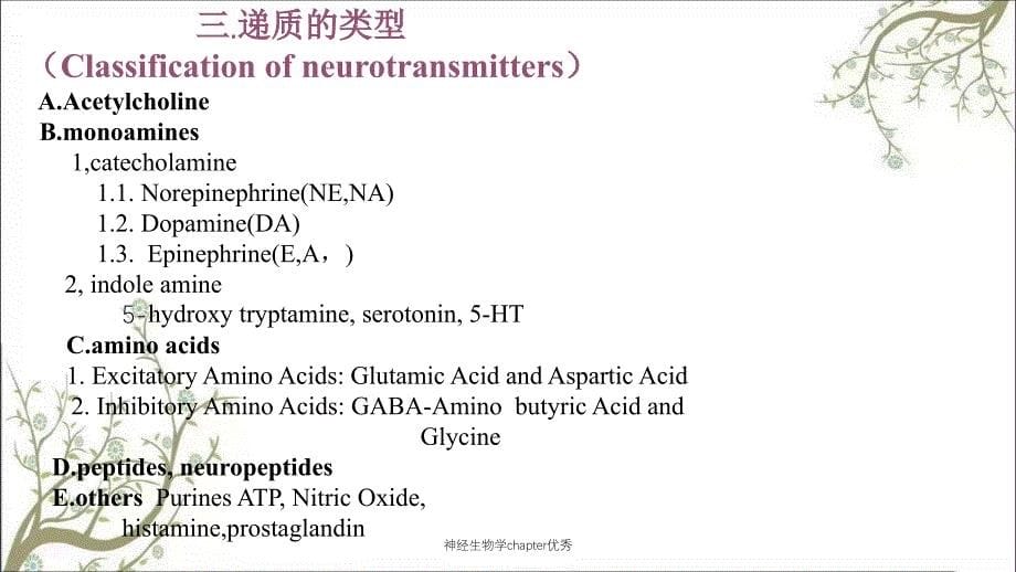 神经生物学chapter优秀_第5页