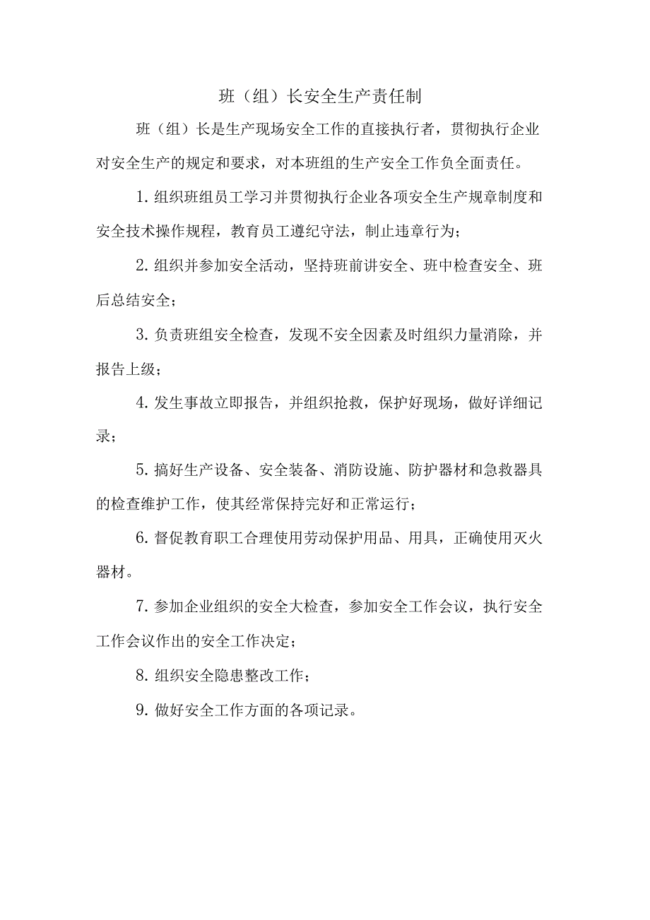 主要负责人安全生产责任制_第3页