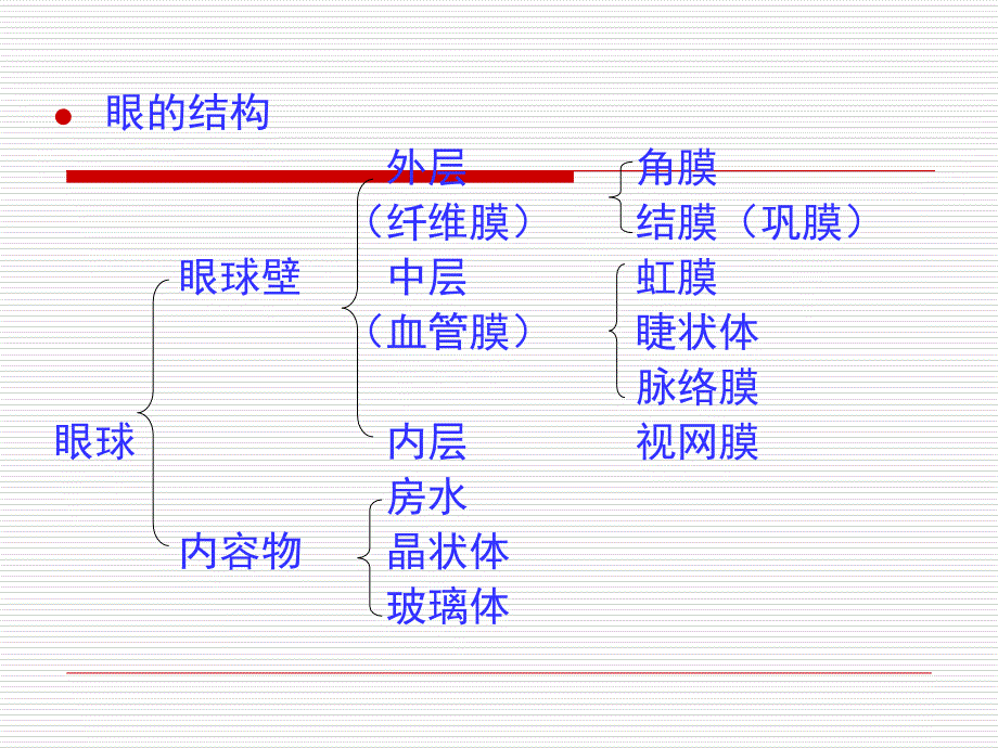 药物对眼的毒性作用_第2页