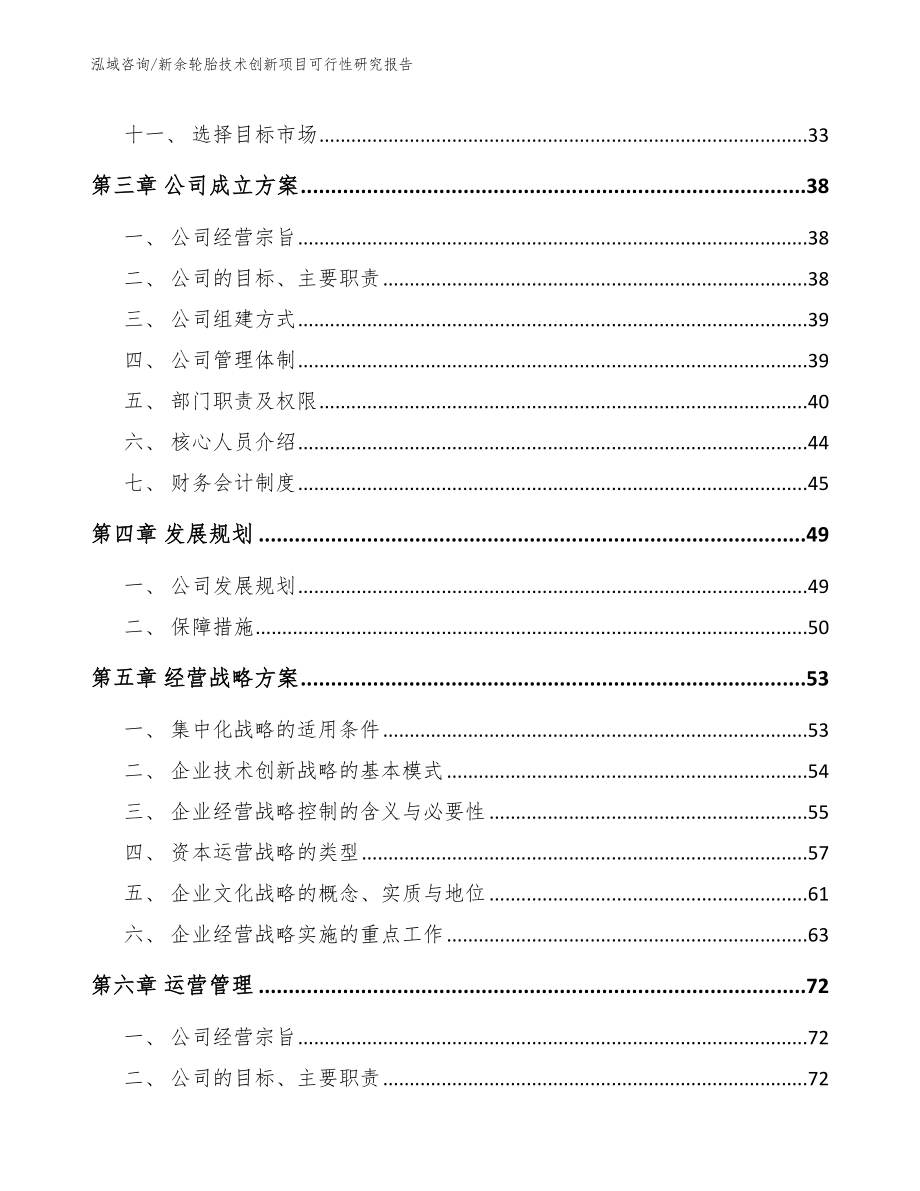 新余轮胎技术创新项目可行性研究报告【范文模板】_第2页