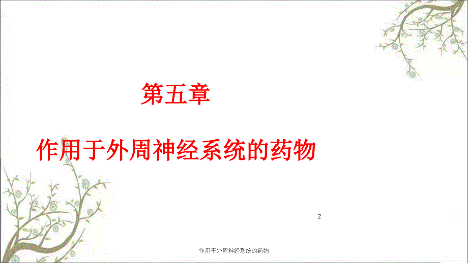 作用于外周神经系统的药物课件_第2页