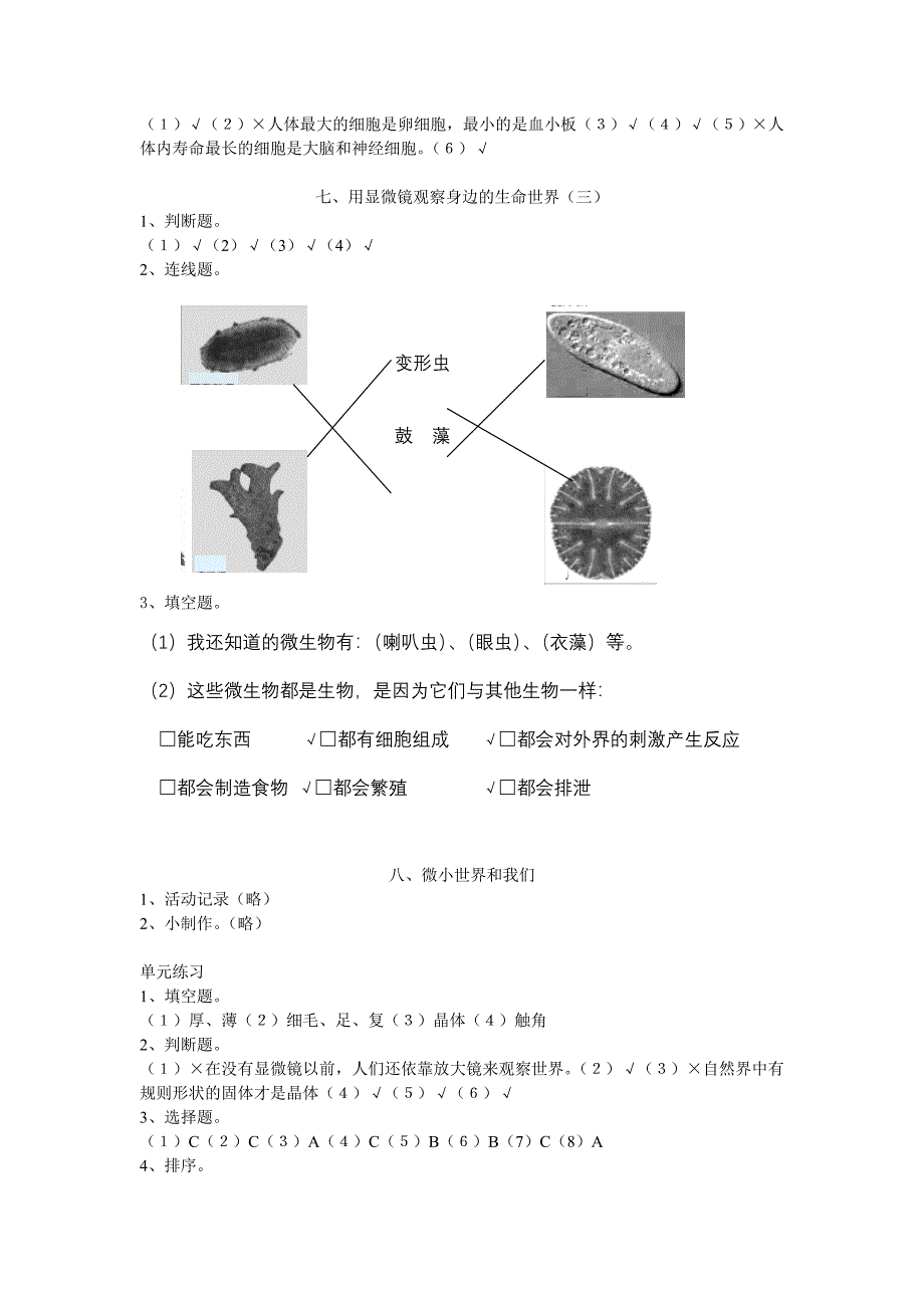 六下作业本参考答案_第2页