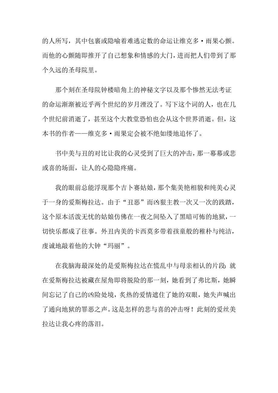 （精选模板）巴黎圣母院读书心得_第3页