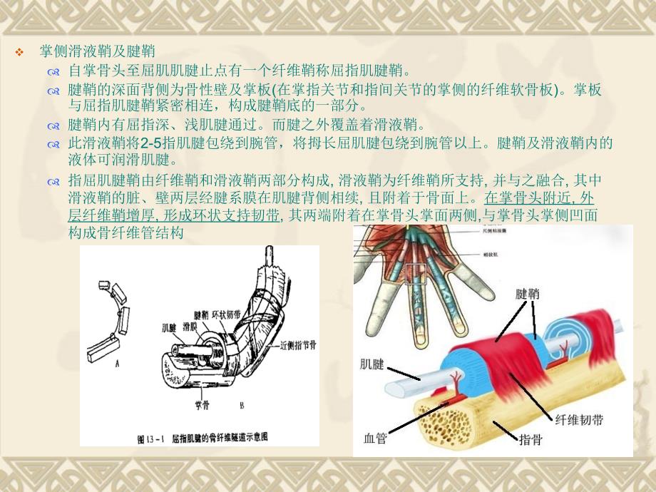 屈指肌狭窄性腱鞘炎_第4页