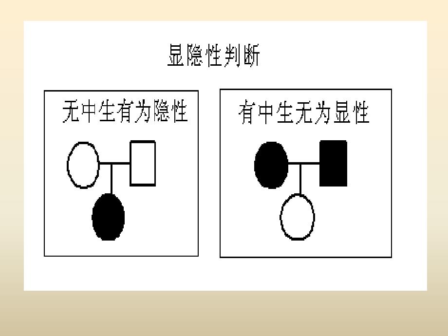 遗传系谱图分析法PPT课件_第3页