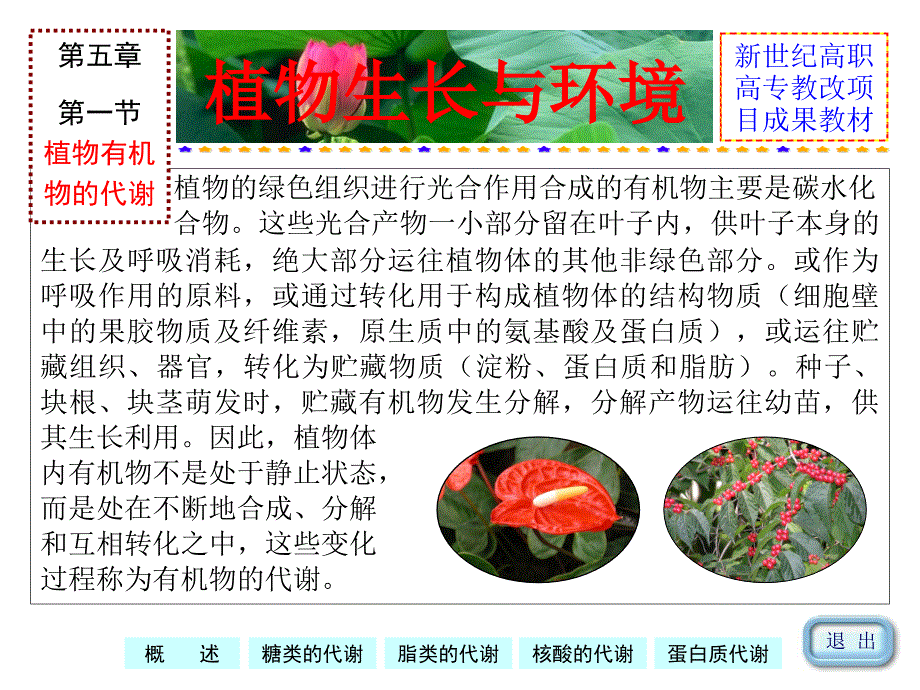 植物生长与环境课件_第3页