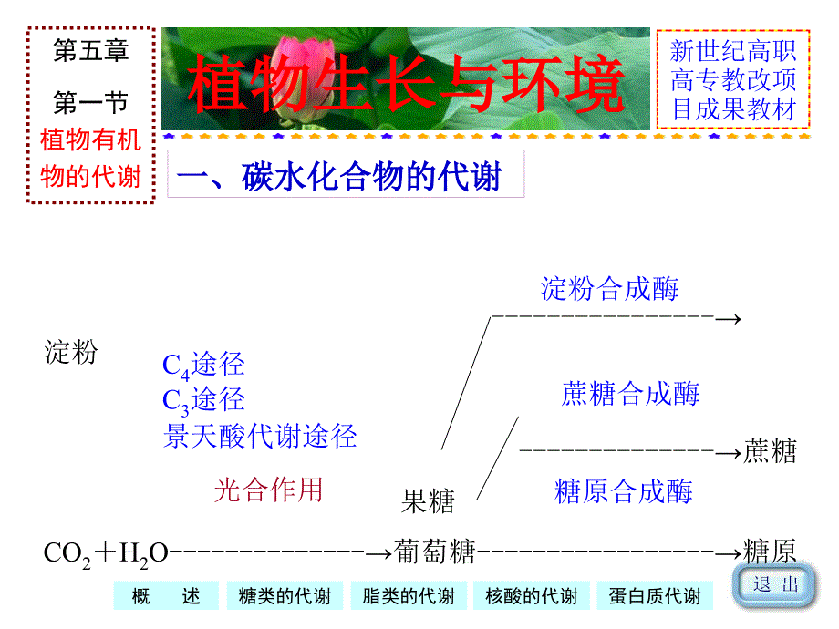 植物生长与环境课件_第4页