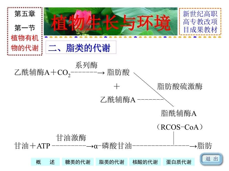 植物生长与环境课件_第5页