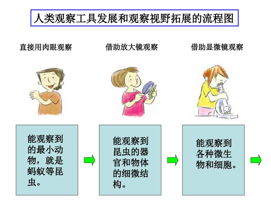 六下一8微小世界和我们 (2)_第3页