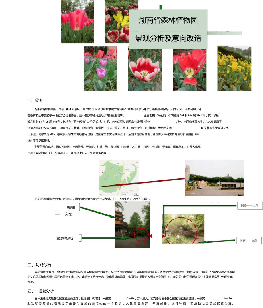 湖南省植物园景观分析_第1页