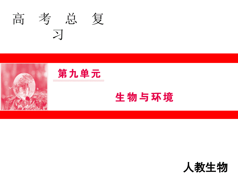 第九单元第30讲群落的结构与演替_第1页