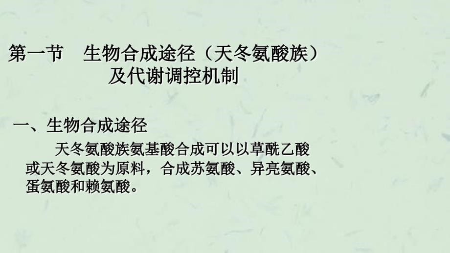 天冬氨酸族氨基酸发酵机制赖氨酸课件_第5页