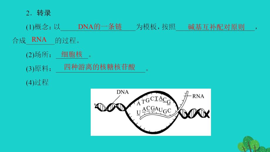 高中生物第4章遗传的分子基础第3节基因控制蛋白质的合成课件苏教版必修_第4页