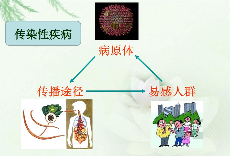 主题班会主题班会常见传染病的预防课件_第3页