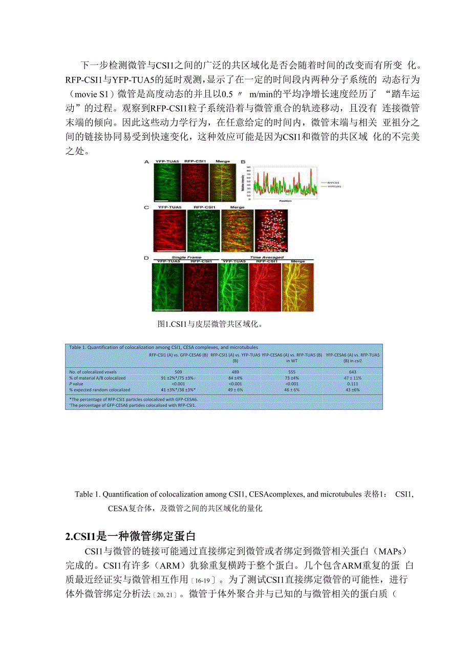 纤维素合成酶互动蛋白1连接微管和纤维素 合成酶复合物_第2页