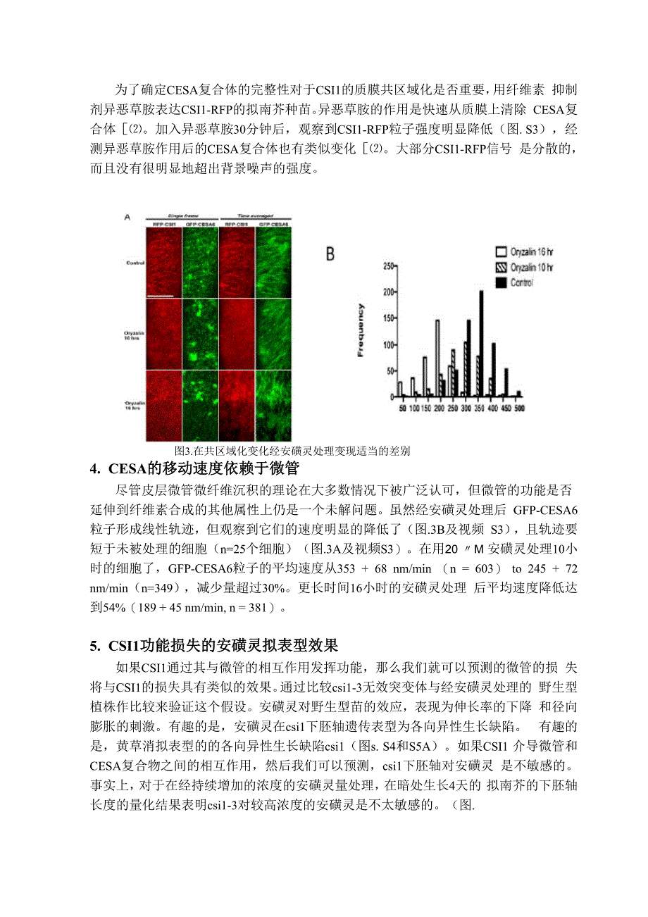 纤维素合成酶互动蛋白1连接微管和纤维素 合成酶复合物_第4页