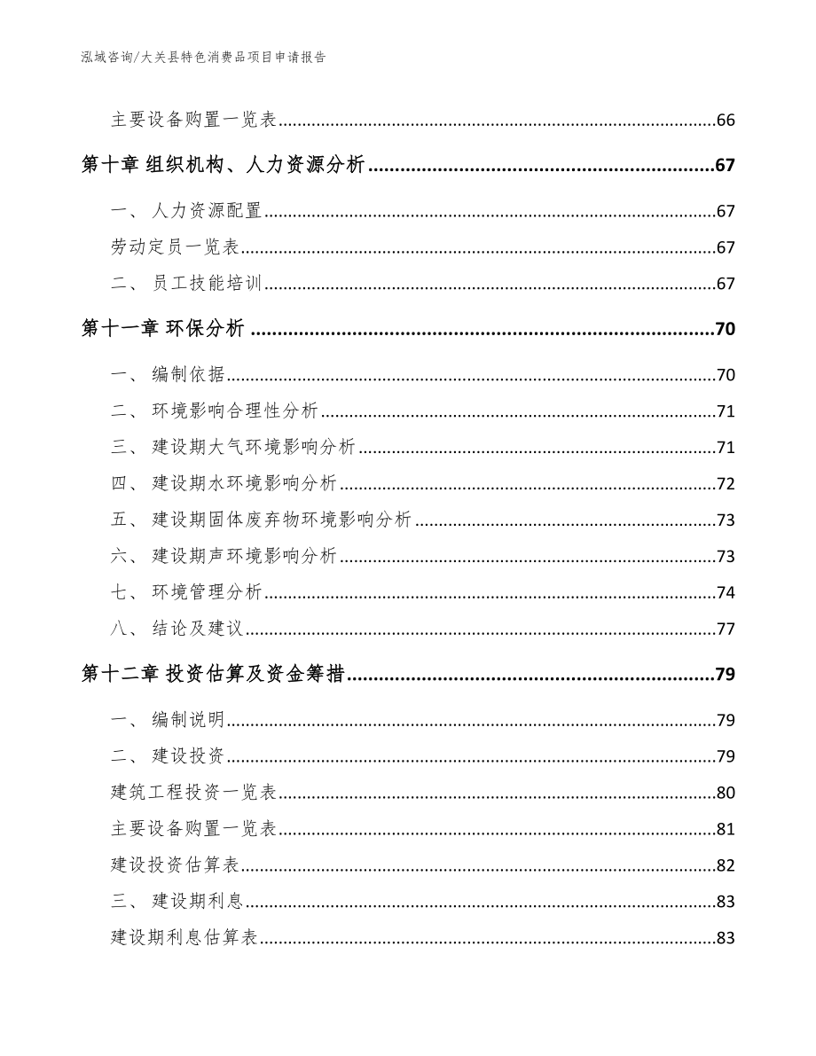 大关县特色消费品项目申请报告范文_第4页
