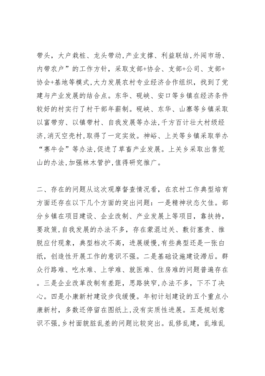 农村工作典型观摩督查总结会讲话稿_第3页