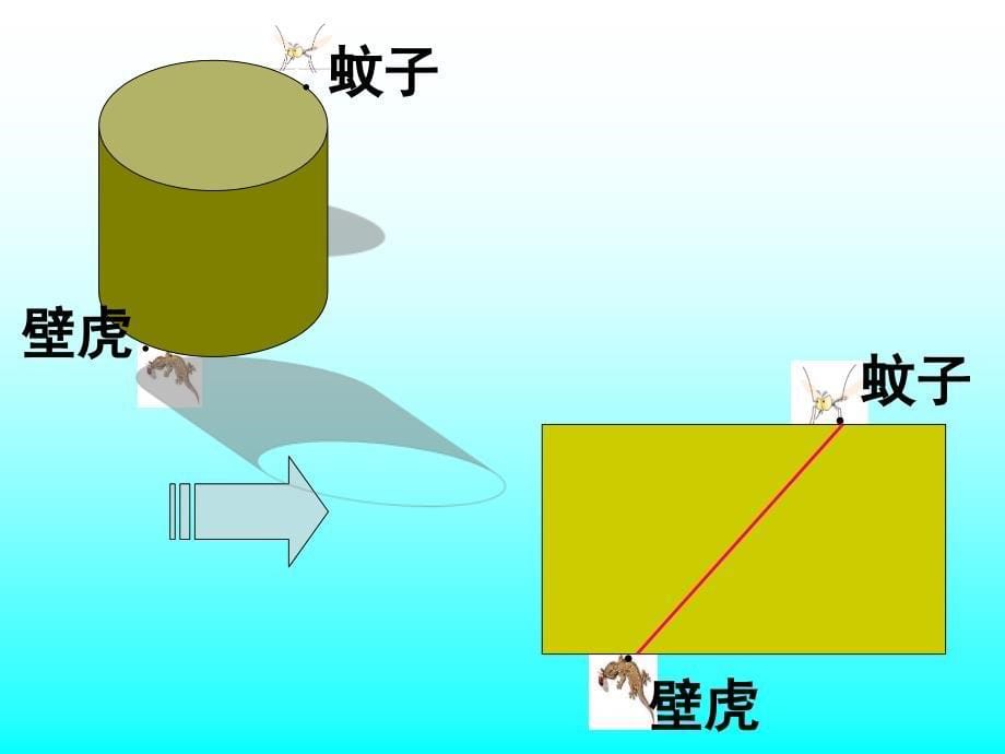 311立体图形与平面图形（2）_第5页