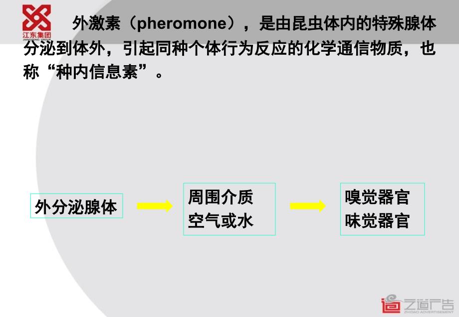 昆虫学课件第四章 昆虫的外分泌腺与外激素_第2页