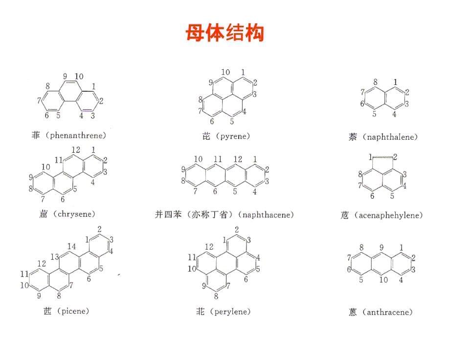 安全性第三章第四节_第5页