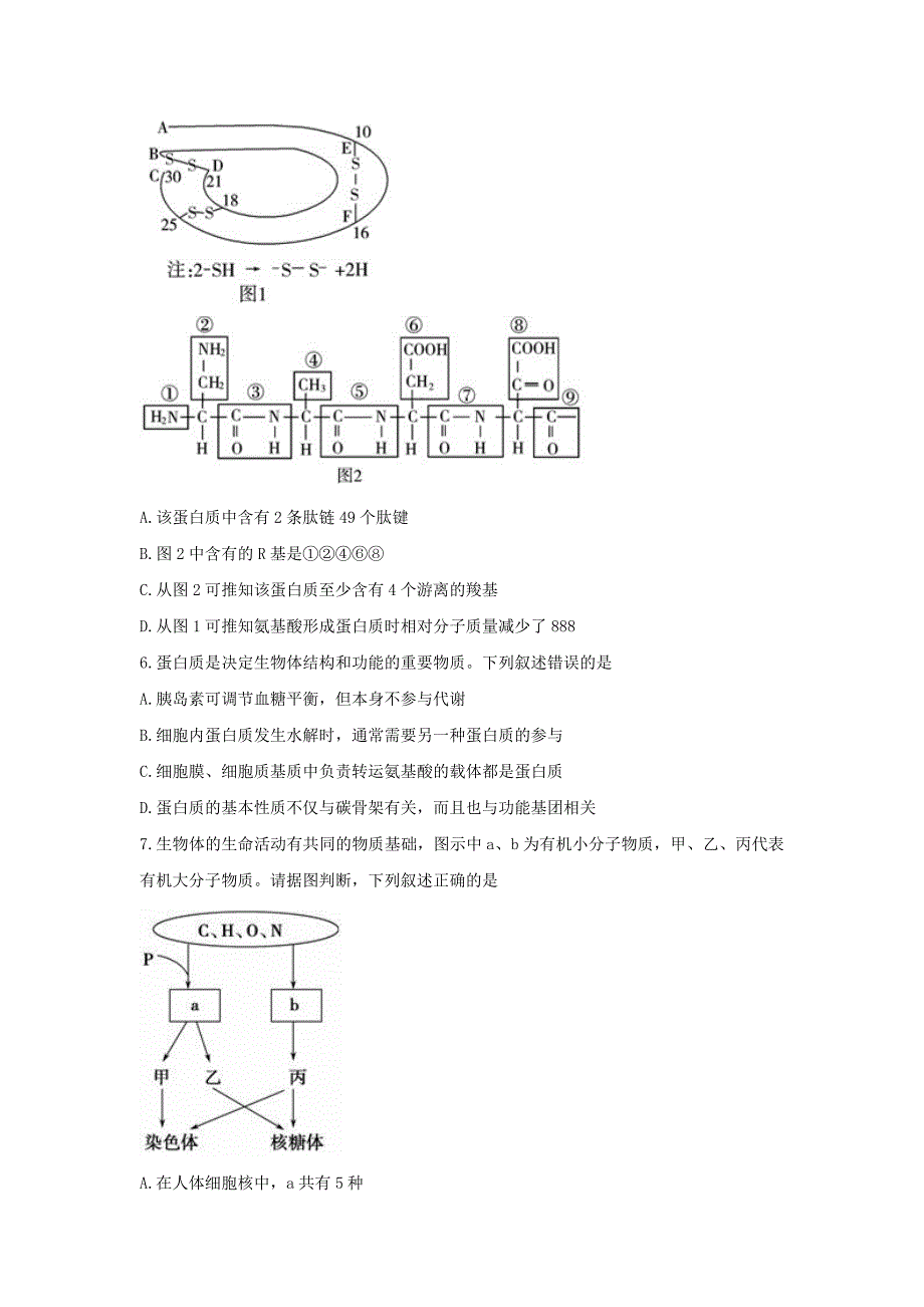 山东省高三生物上学期第二次诊断考试试题_第2页