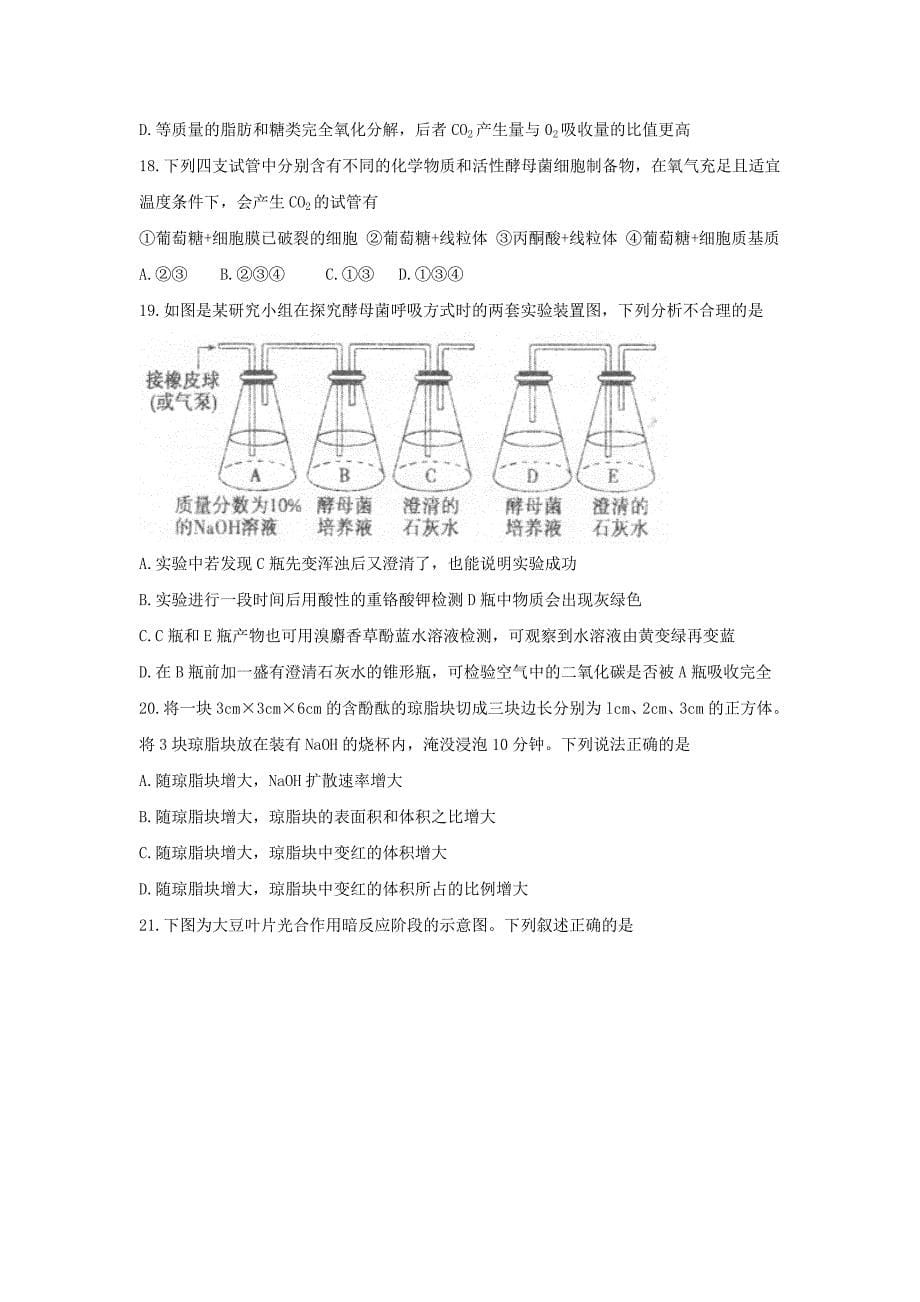 山东省高三生物上学期第二次诊断考试试题_第5页