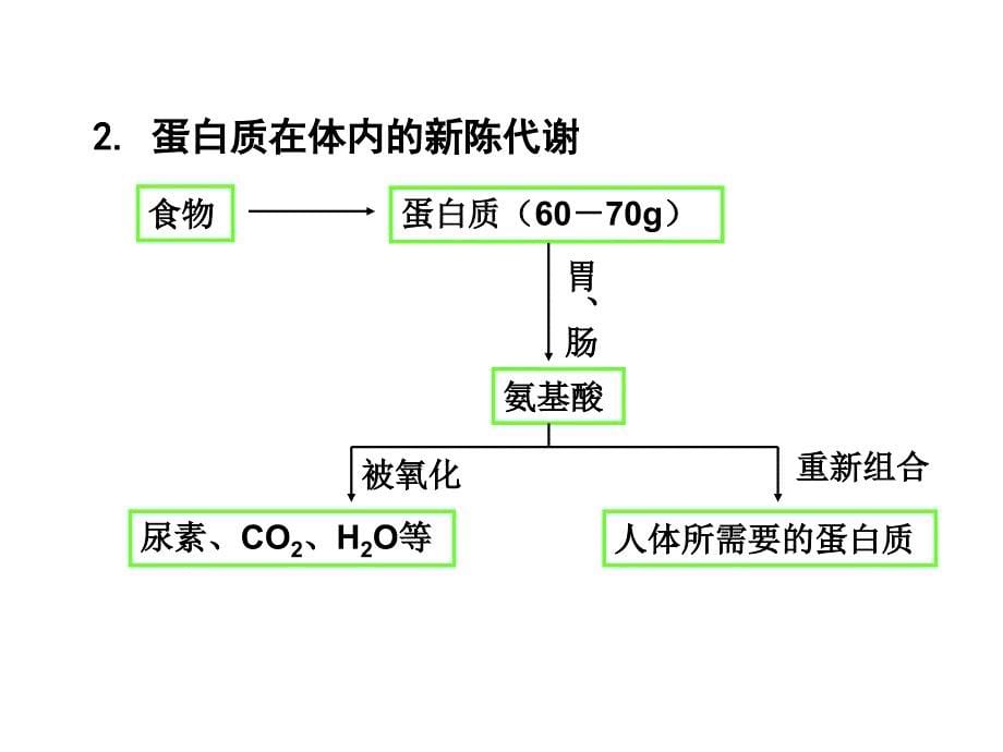 2014人类重要的营养物质_第5页