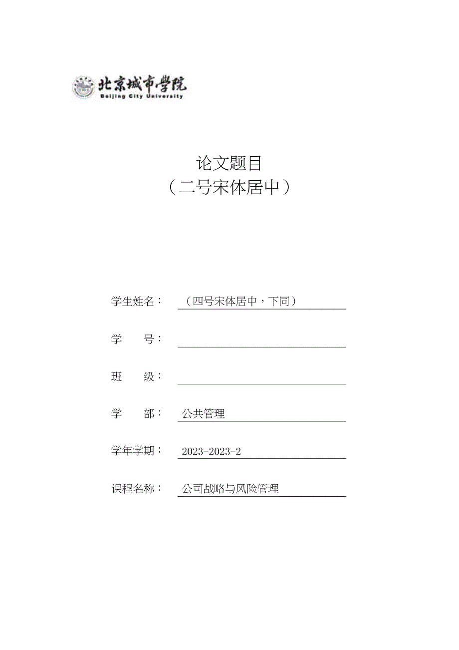 2023年公司战略与风险管理.docx_第1页