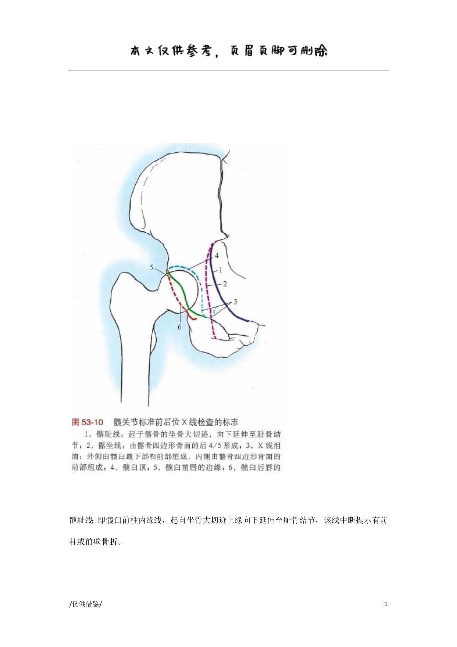 骨盆解剖附图【参考借鉴】_第1页