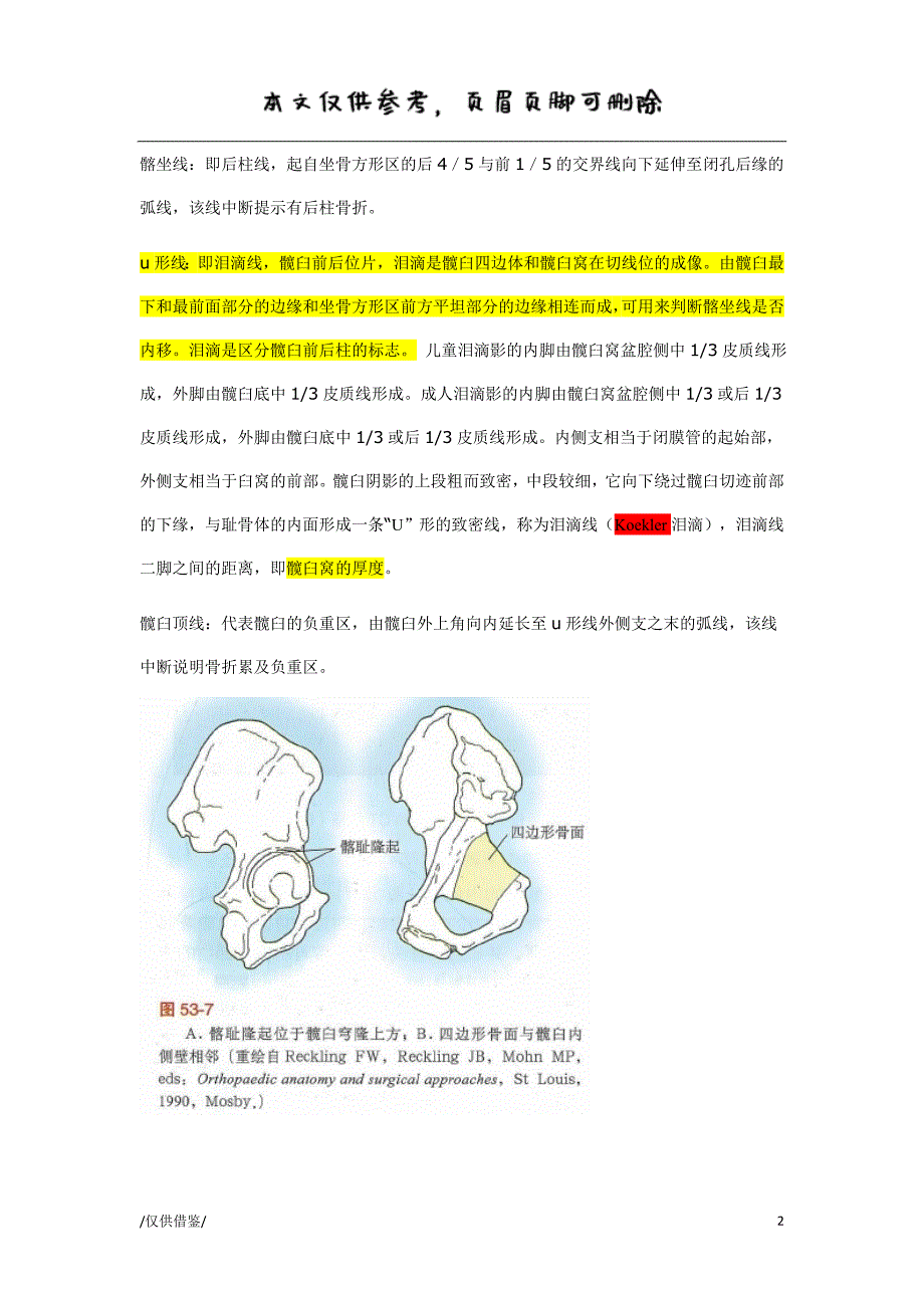 骨盆解剖附图【参考借鉴】_第2页