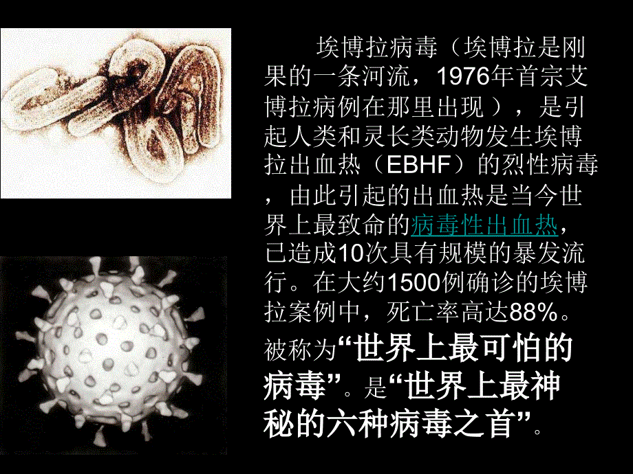 《埃博拉病毒》PPT课件.ppt_第2页